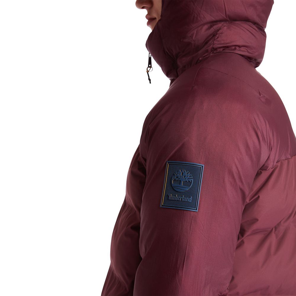 Chaquetas Timberland Argentina Hombre - Neo Summit Hooded Invierno - Burdeos - HBXZLP-184